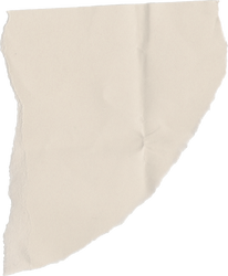 Ripped Paper Texture